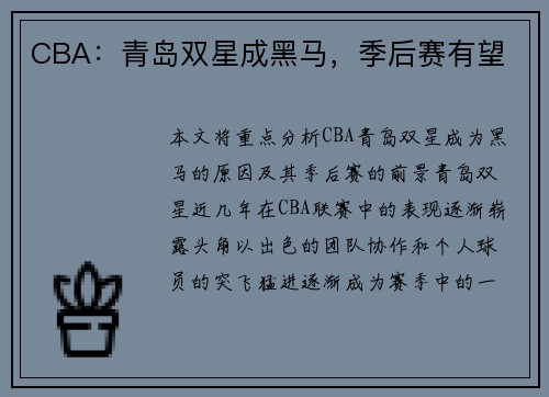 CBA：青岛双星成黑马，季后赛有望