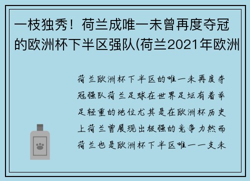 一枝独秀！荷兰成唯一未曾再度夺冠的欧洲杯下半区强队(荷兰2021年欧洲杯)