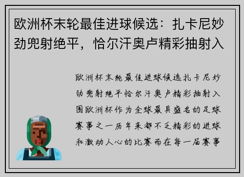 欧洲杯末轮最佳进球候选：扎卡尼妙劲兜射绝平，恰尔汗奥卢精彩抽射入围