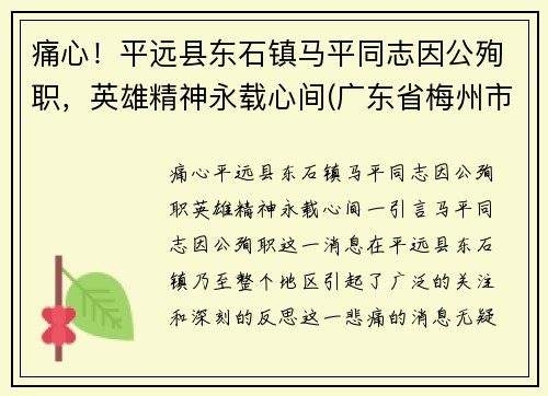 痛心！平远县东石镇马平同志因公殉职，英雄精神永载心间(广东省梅州市平远县东石镇)