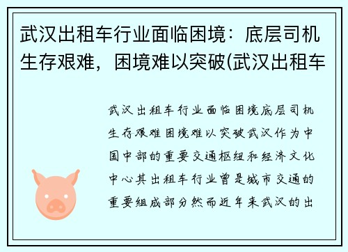 武汉出租车行业面临困境：底层司机生存艰难，困境难以突破(武汉出租车生意惨淡)