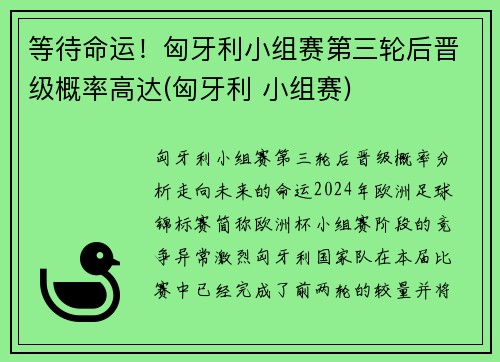 等待命运！匈牙利小组赛第三轮后晋级概率高达(匈牙利 小组赛)