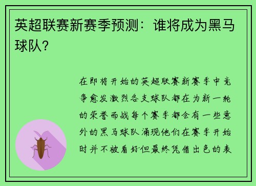 英超联赛新赛季预测：谁将成为黑马球队？