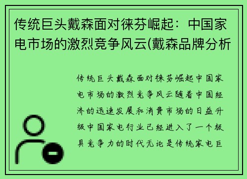 传统巨头戴森面对徕芬崛起：中国家电市场的激烈竞争风云(戴森品牌分析)